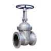 ANSI Standard gate valve