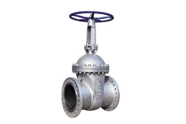 ANSI Standard gate valve