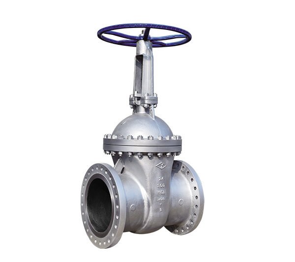 ANSI Standard gate valve