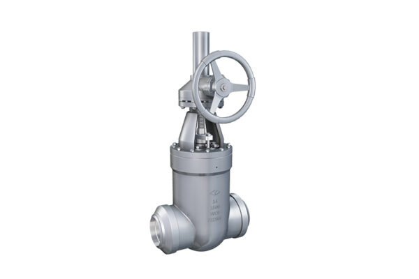 ANSI Standard gate valve