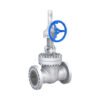 ANSI Standard gate valve