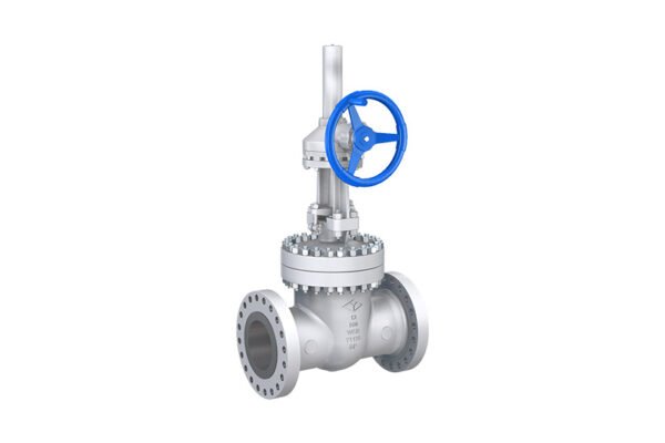 ANSI Standard gate valve