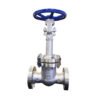 ANSI Standard gate valve