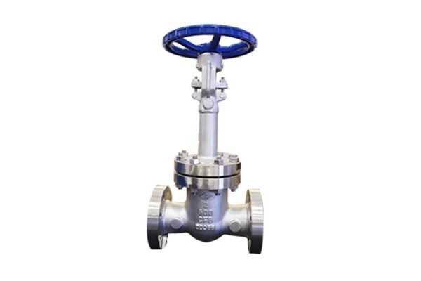 ANSI Standard gate valve