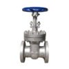 ANSI Standard gate valve