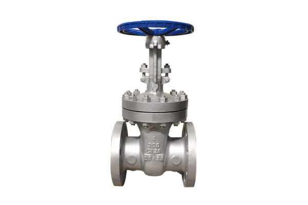 ANSI Standard gate valve