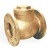 Brass Check Valves