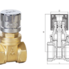 Brass Threaded Gate Valves (1)