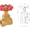 Brass Threaded Gate Valves (1)