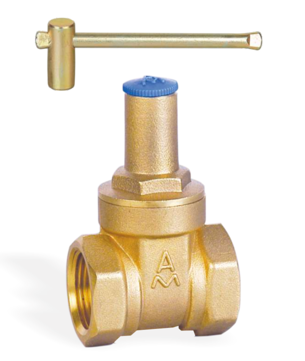Brass Threaded Gate Valves (1)