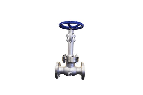 Globe Valve Stainless Steel