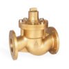 Brass Globe Valves
