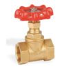 Brass Globe Valves 2