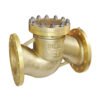 Lift Type Check Valve
