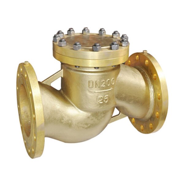 Lift Type Check Valve