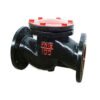 Lift Type Check Valve