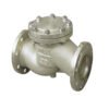 Lift Type Check Valve