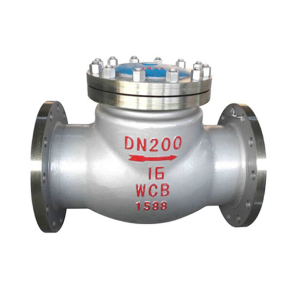 Swing Type Check Valve