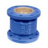 Vertical Check Valve