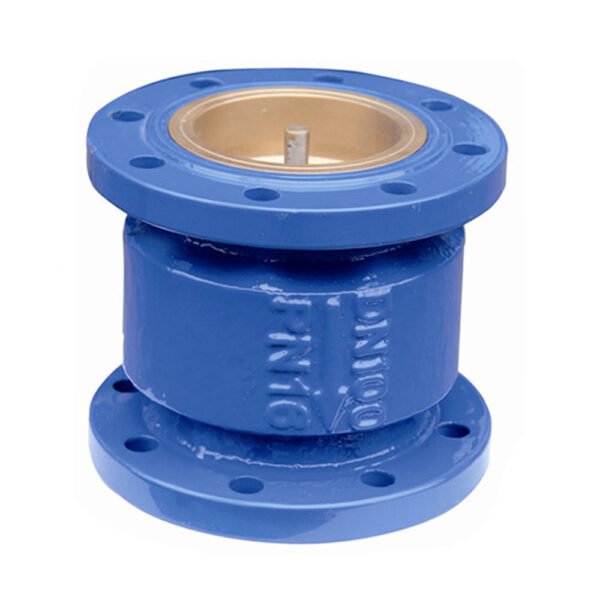Vertical Check Valve