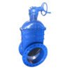 ductile iron gate valves 3